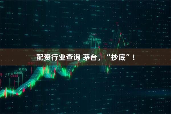 配资行业查询 茅台，“抄底”！